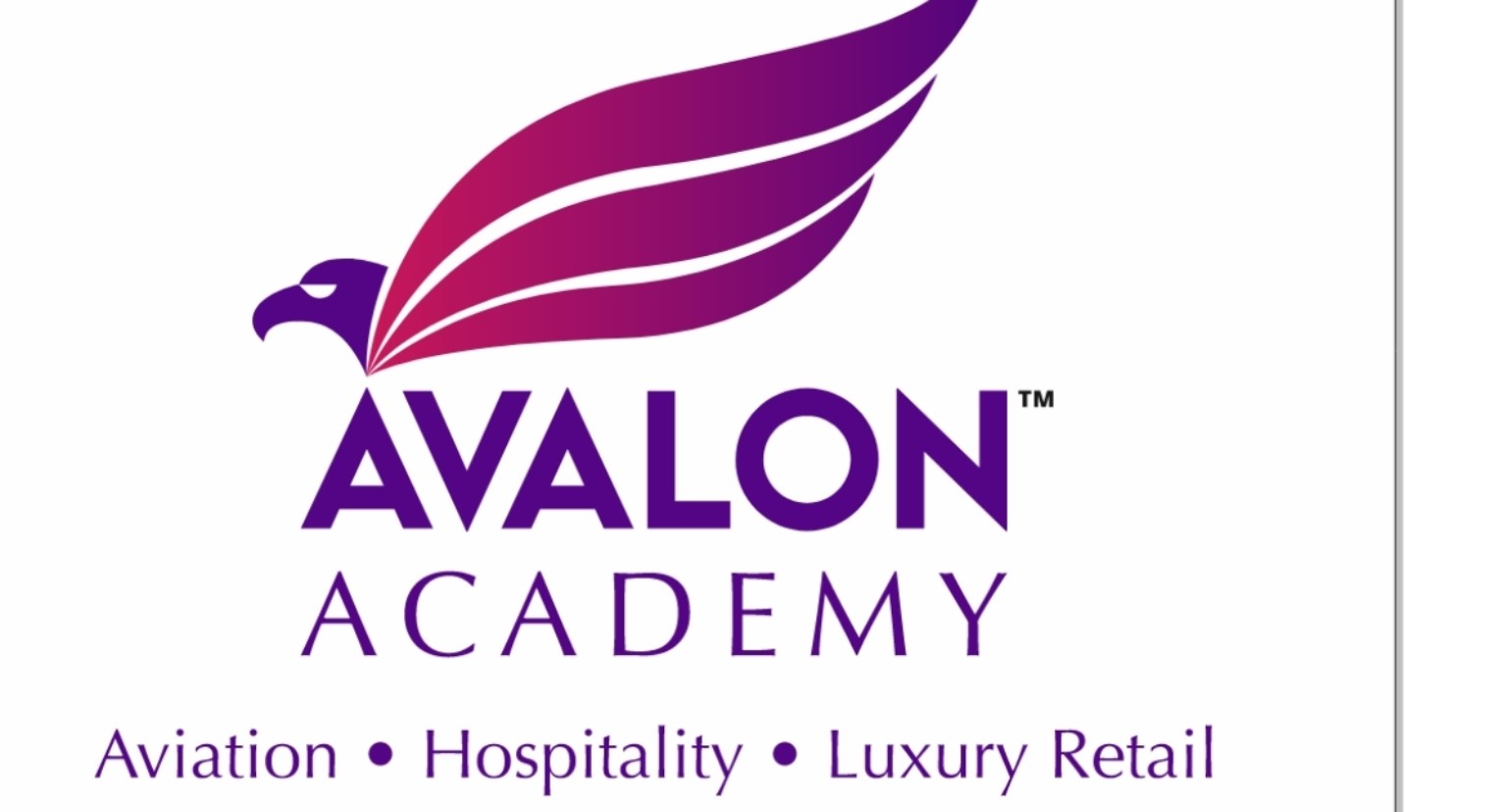 Avalon Academy